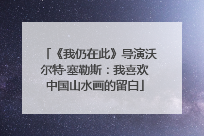 《我仍在此》导演沃尔特·塞勒斯：我喜欢中国山水画的留白