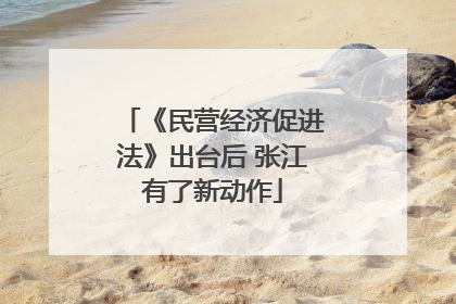 《民营经济促进法》出台后 张江有了新动作