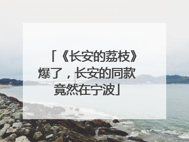 《长安的荔枝》爆了，长安的同款竟然在宁波