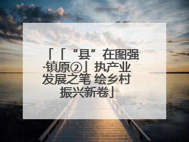「“县”在图强·镇原②」执产业发展之笔 绘乡村振兴新卷
