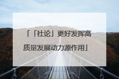 「社论」更好发挥高质量发展动力源作用