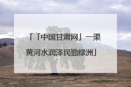 「中国甘肃网」一渠黄河水润泽民勤绿洲
