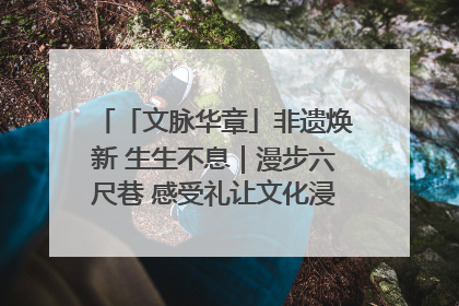 「文脉华章」非遗焕新 生生不息｜漫步六尺巷 感受礼让文化浸润的“巷”往生活