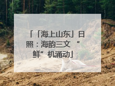 「海上山东」日照：海韵三文 “鲜”机涌动