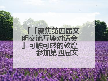 「聚焦第四届文明交流互鉴对话会」可触可感的敦煌——参加第四届文明交流互鉴对话会的外宾参观上元市集
