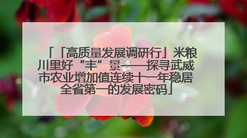 「高质量发展调研行」米粮川里好“丰”景——探寻武威市农业增加值连续十一年稳居全省第一的发展密码