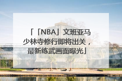 「NBA」文班亚马少林寺修行即将出关，最新练武画面曝光