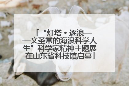“灯塔 • 逐浪——文圣常的海浪科学人生”科学家精神主题展在山东省科技馆启幕