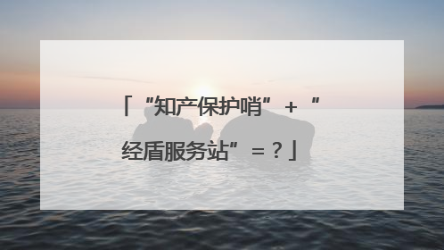 “知产保护哨”+“经盾服务站”=？