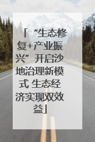 “生态修复+产业振兴”开启沙地治理新模式 生态经济实现双效益