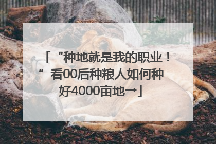 “种地就是我的职业！”看00后种粮人如何种好4000亩地→