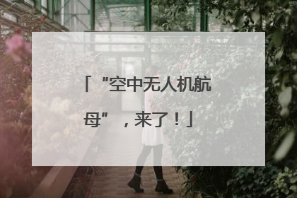 “空中无人机航母”，来了！