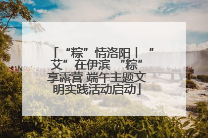 “粽”情洛阳丨“艾”在伊滨 “粽”享露营 端午主题文明实践活动启动