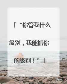 “你管我什么级别，我能抓你的级别！”