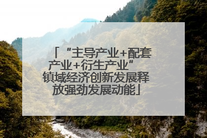 “主导产业+配套产业+衍生产业” 镇域经济创新发展释放强劲发展动能