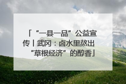 “一县一品”公益宣传丨武冈：卤水里熬出“草根经济”的醇香