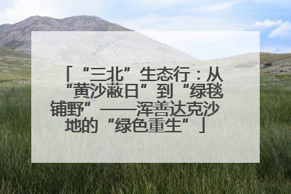 “三北”生态行：从“黄沙蔽日”到“绿毯铺野”——浑善达克沙地的“绿色重生”