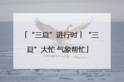 “三夏”进行时丨“三夏”大忙 气象帮忙