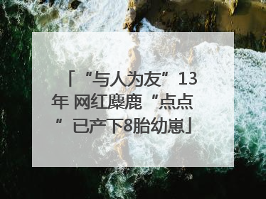 “与人为友”13年 网红麋鹿“点点”已产下8胎幼崽