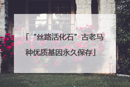 “丝路活化石”古老马种优质基因永久保存
