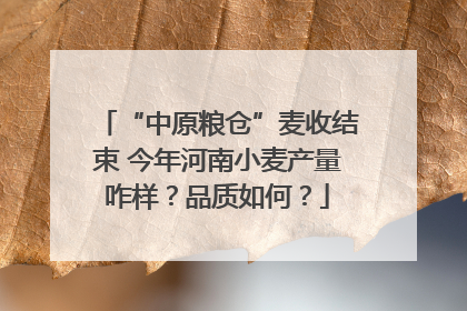 “中原粮仓”麦收结束 今年河南小麦产量咋样？品质如何？