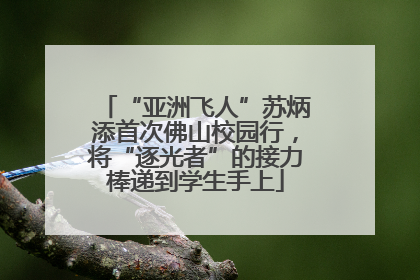“亚洲飞人”苏炳添首次佛山校园行，将“逐光者”的接力棒递到学生手上