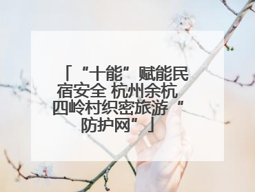 “十能”赋能民宿安全 杭州余杭四岭村织密旅游“防护网”
