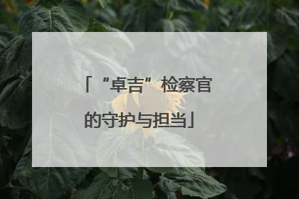 “卓吉”检察官的守护与担当