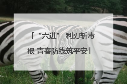 “六进” 利刃斩毒根 青春防线筑平安