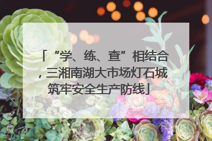 “学、练、查”相结合，三湘南湖大市场灯石城筑牢安全生产防线