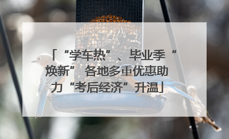 “学车热”、毕业季“焕新” 各地多重优惠助力“考后经济”升温