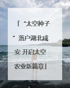 “太空种子”落户湖北咸安 开启太空农业新篇章