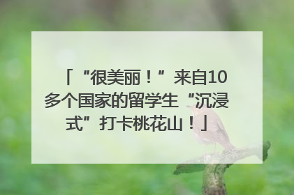 “很美丽！”来自10多个国家的留学生“沉浸式”打卡桃花山！