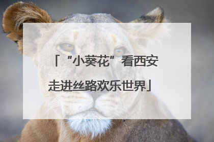 “小葵花”看西安走进丝路欢乐世界