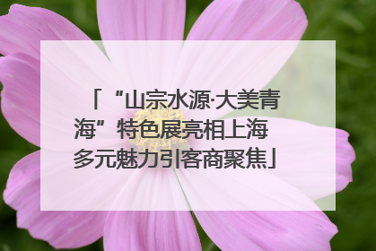 “山宗水源·大美青海”特色展亮相上海 多元魅力引客商聚焦