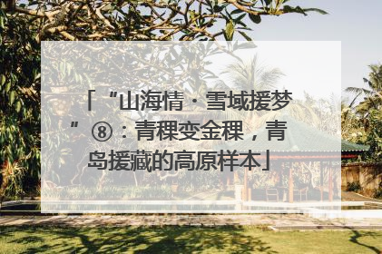 “山海情・雪域援梦”⑧：青稞变金稞，青岛援藏的高原样本