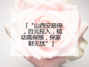 “山西安居保，百元投入，撬动高保额，保家财无忧”