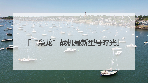 “枭龙”战机最新型号曝光