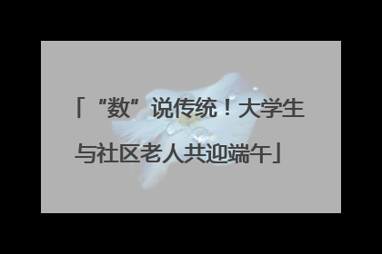 “数”说传统！大学生与社区老人共迎端午