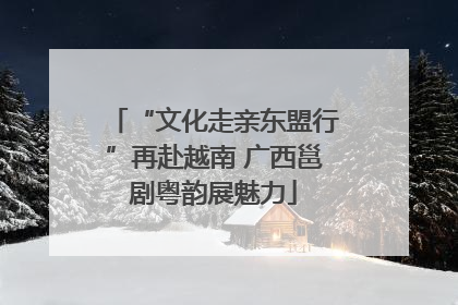 “文化走亲东盟行”再赴越南 广西邕剧粤韵展魅力