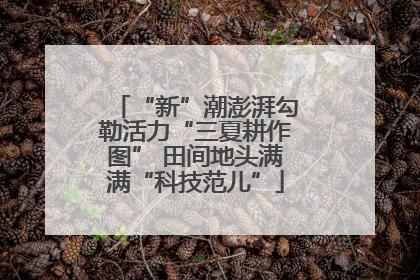 “新”潮澎湃勾勒活力“三夏耕作图” 田间地头满满“科技范儿”