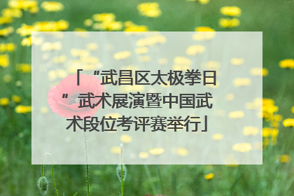 “武昌区太极拳日”武术展演暨中国武术段位考评赛举行