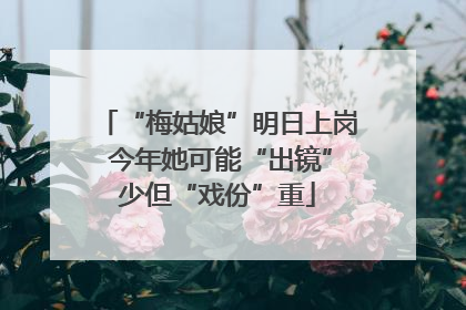“梅姑娘”明日上岗 今年她可能“出镜”少但“戏份”重