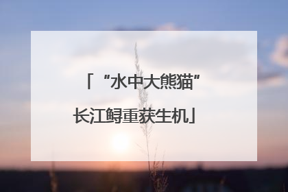 “水中大熊猫”长江鲟重获生机