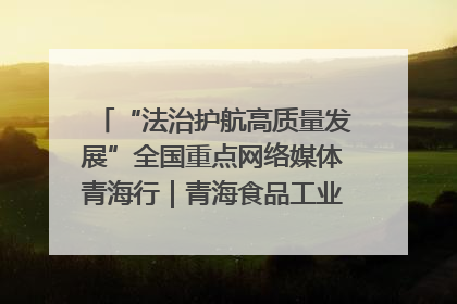 “法治护航高质量发展”全国重点网络媒体青海行｜青海食品工业协会：架起“青字号”美食的产业化桥梁