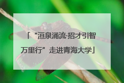 “洹泉涌流·招才引智万里行”走进青海大学