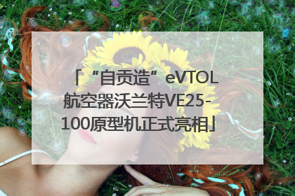 “自贡造”eVTOL航空器沃兰特VE25-100原型机正式亮相