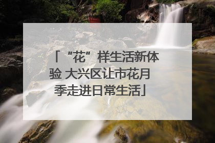 “花”样生活新体验 大兴区让市花月季走进日常生活