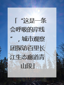 “这是一条会呼吸的岸线”，城市观察团探访百里长江生态廊道青山段