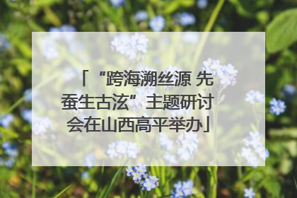 “跨海溯丝源 先蚕生古泫”主题研讨会在山西高平举办